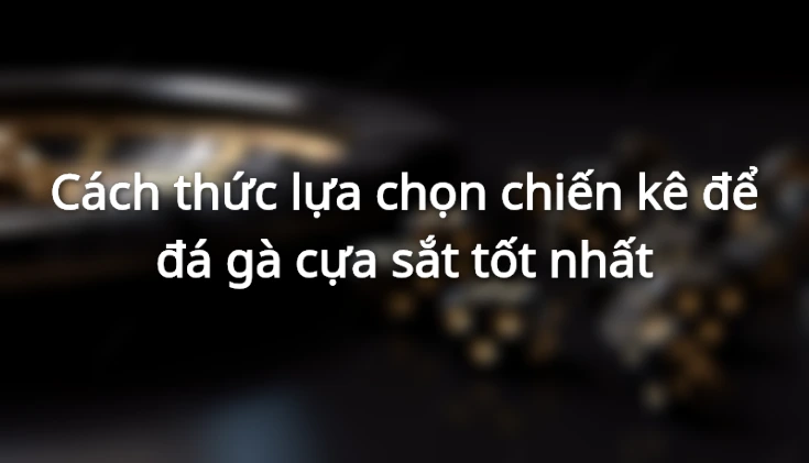 Cách lựa chọn cựa sắt chất lượng trước khi đấu&nbsp;