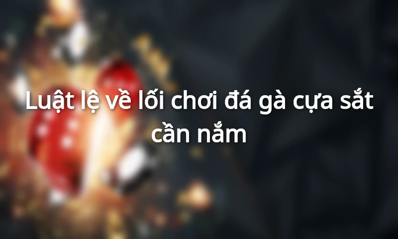 Thời gian tham gia trận đấu&nbsp;