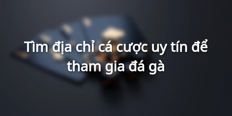 Kinh nghiệm tham gia đá gà luôn thắng