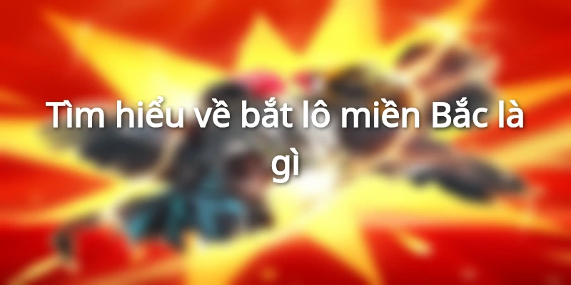 bat-lo-mien-bac-la-gi