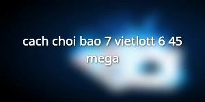 cach-choi-bao-7-vietlott-6-45-mega