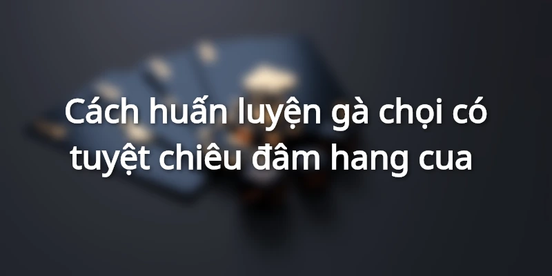 cach-huan-luyen-ga-choi-da-hang-cua