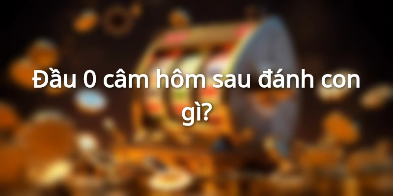 dau-cam-0-hom-sau-danh-con-gi