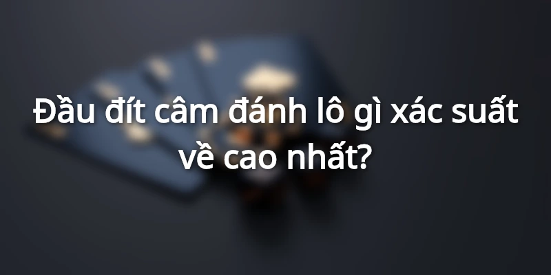 dau-cam-dit-cam-danh-con-gi-chuan