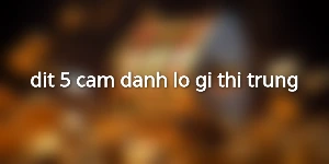 dit-5-cam-danh-lo-gi-thi-trung