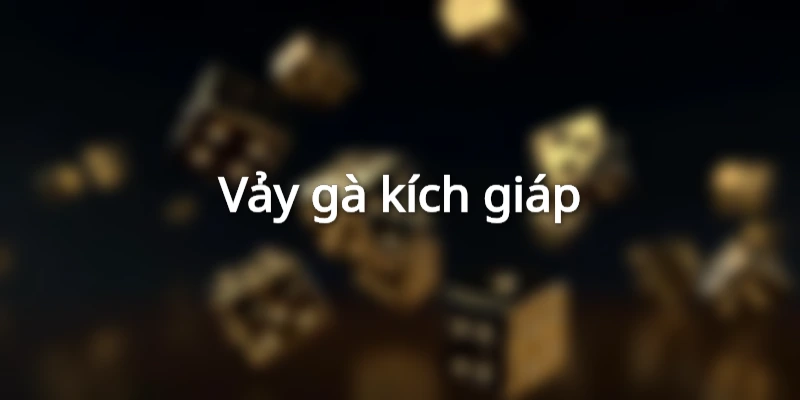 phan-loai-vay-ga-choi-doc