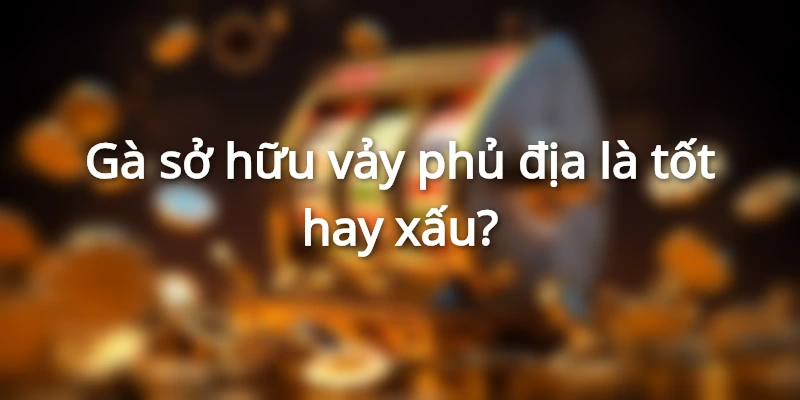 vay-ga-tu-quy-phu-dia-la-gi