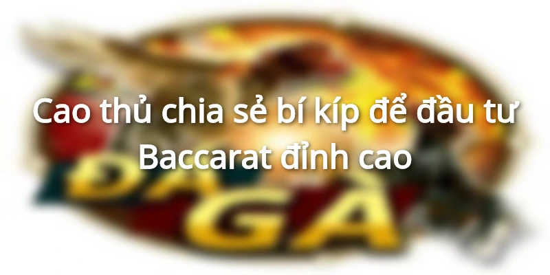 bi-kip-dau-tu-baccarat-dinh-cao
