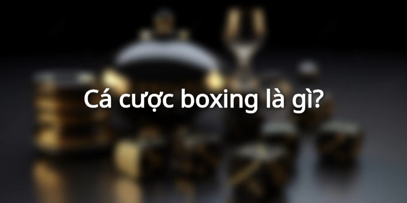 ca-cuoc-boxing-la-gi
