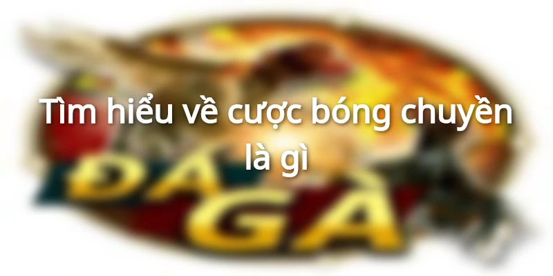 cuoc-bong-chuyen-la-gi