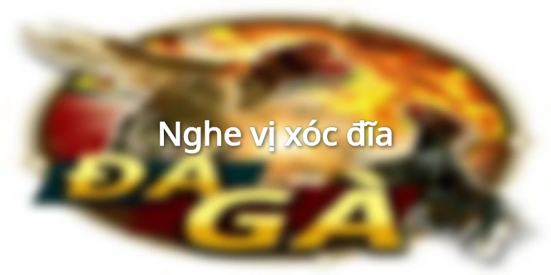 nghe-doc-vi-xoc-dia