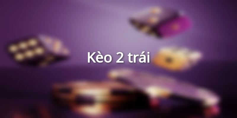 vi-du-cuoc-tai-xiu-2-trai